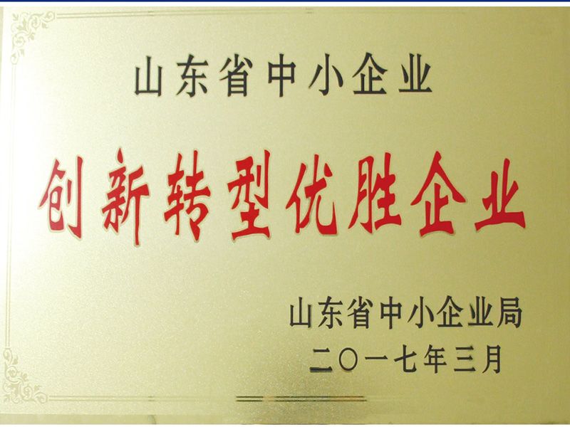 創(chuàng)新轉(zhuǎn)型優(yōu)勝企業(yè)